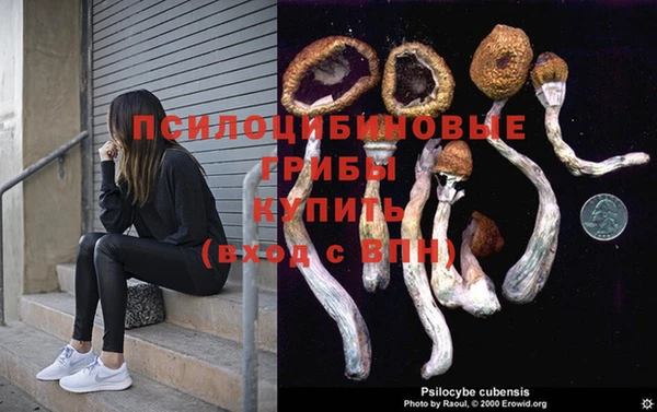 кокаин колумбия Алексин