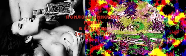 кокаин колумбия Алексин