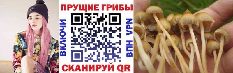 Псилоцибиновые грибы Magic Shrooms  Нея 